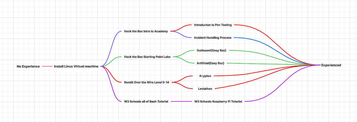 Path for Beginners